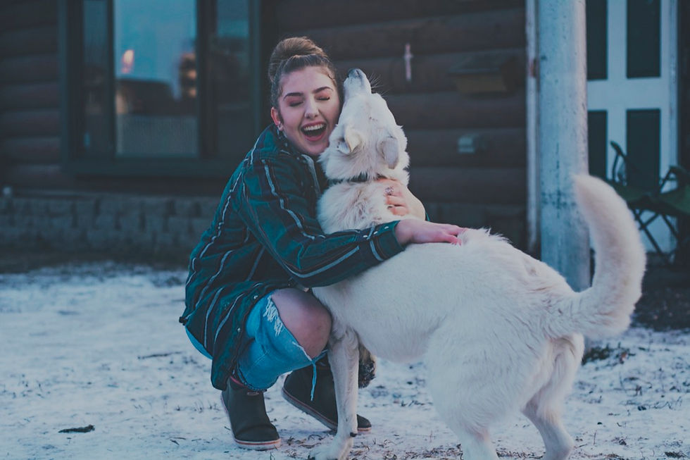 Alaska Savannah