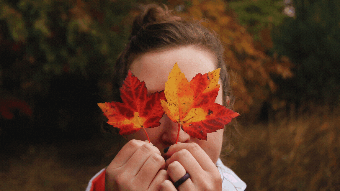 Untitled design (19).png