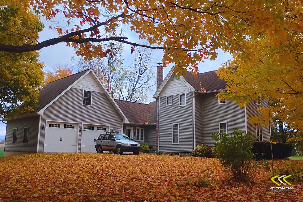 Illuminated Flower Bud
