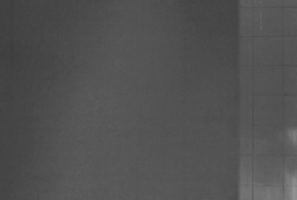 GIF _ JOSE SETTE _ URUBUCINE.gif