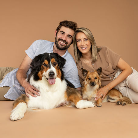 Doggie Photo Shoot