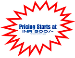 Pricing Starts at 500 (2).png