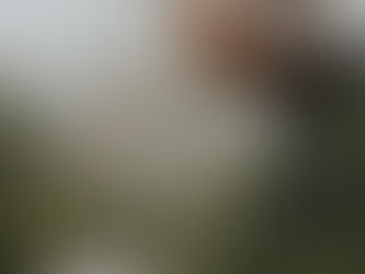 recent spots i've been loving: part 1 (updated)