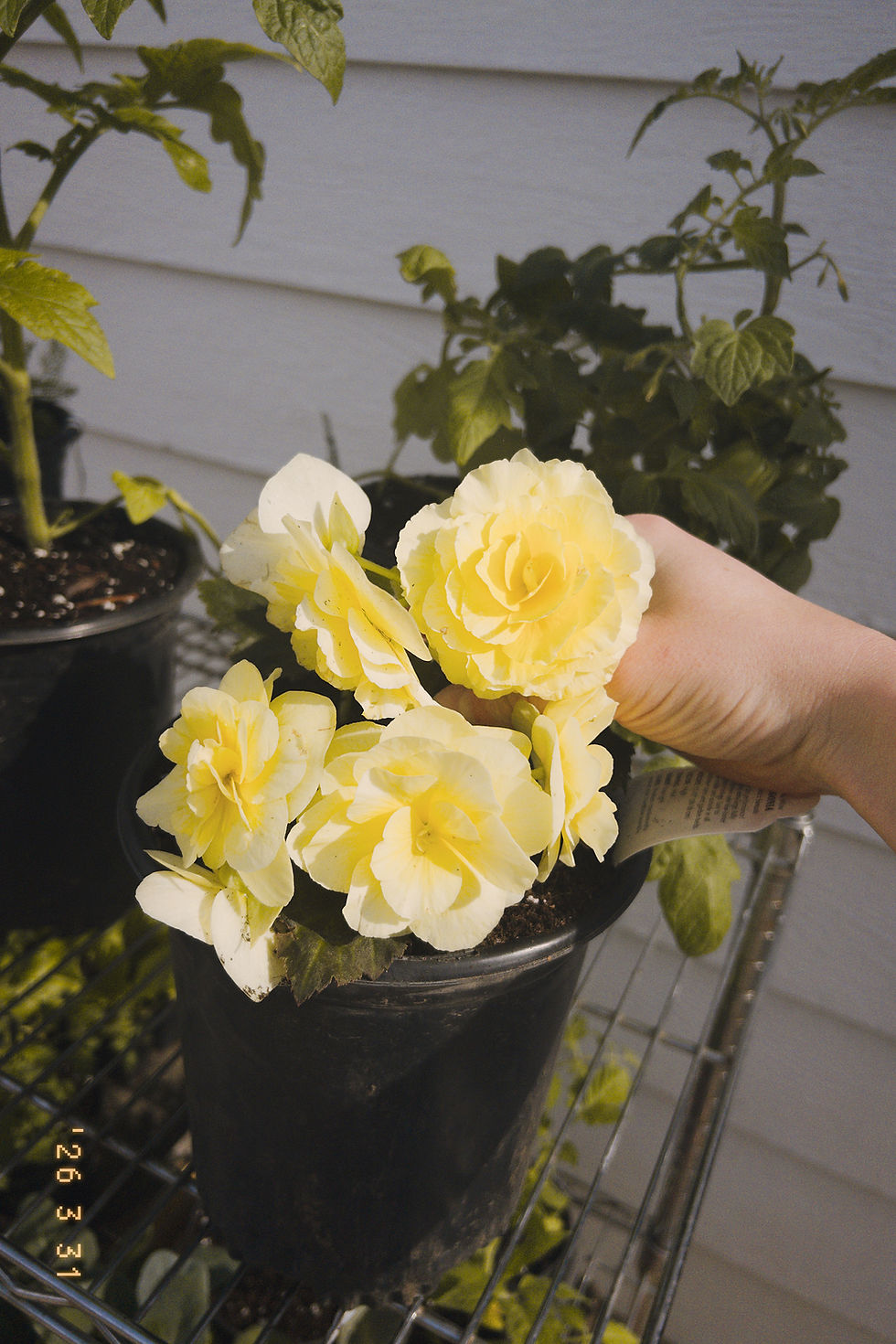 recent spots i've been loving: part 1