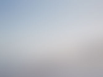 maui & florida, 2026