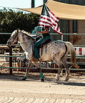 Malibu_Flag_2.jpg