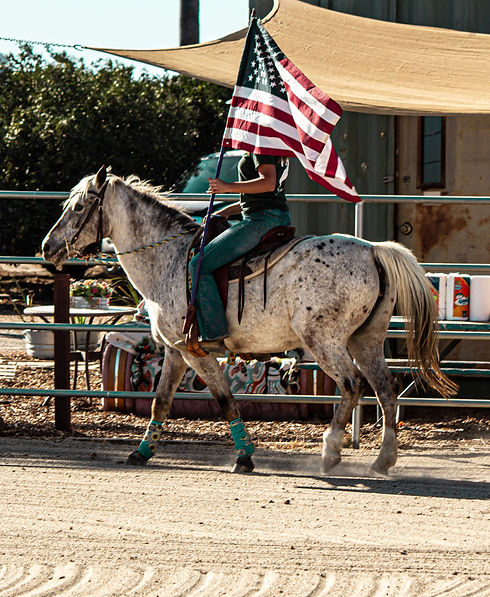 Malibu_Flag_2.jpg