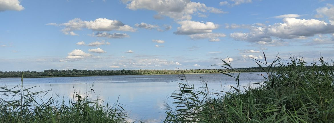 3_see