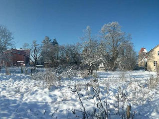 Winter in the Spreewald countryside