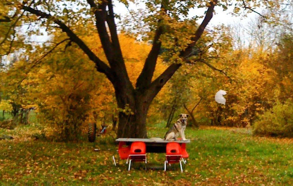 In der Natur auftanken, bevor der Winter beginnt