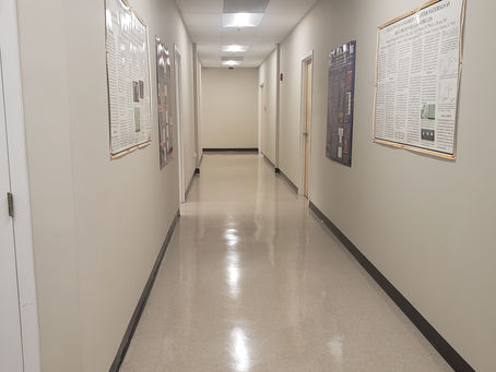 Week 1 – Promise of a New Year