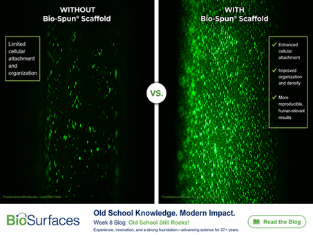 Week 8 – Old School Still Rocks!