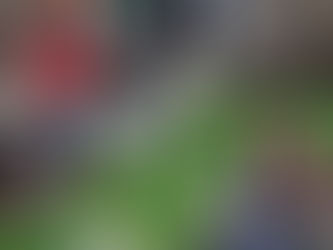 Sharing The Joy Of Reading