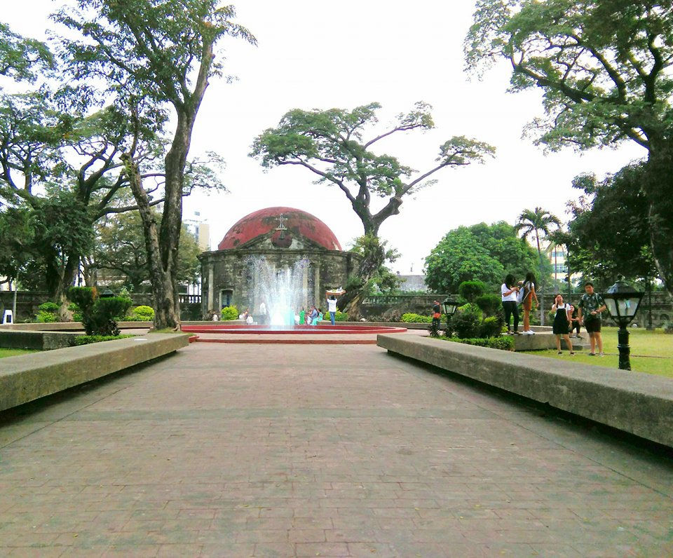 Front view