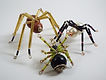 DSCF1174.JPG