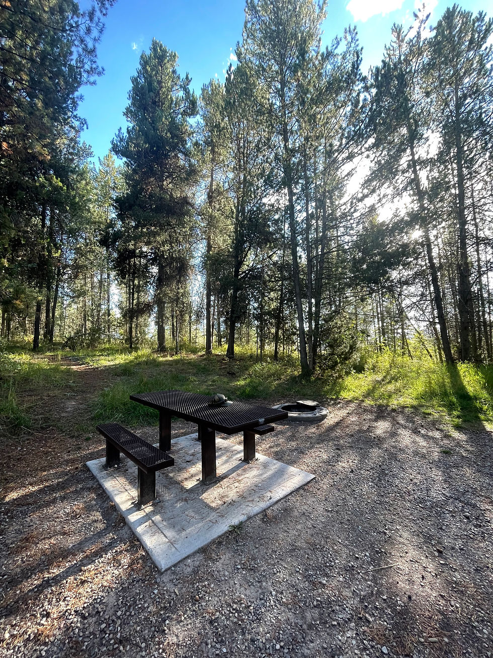 Sunlit forest campsite with a black picnic table, fire ring, and helmet beside tall pine trees under a bright blue sky.