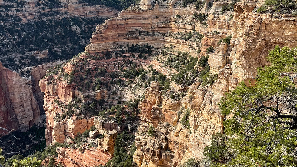 North Rim