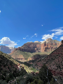 Unveiling Zion National Park: A Nature Lover's Paradise