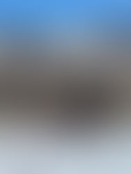 Experience the Magic of Winter: Skiing at Beaver Creek