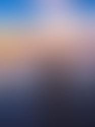 Shark Dives in Roatan, Honduras