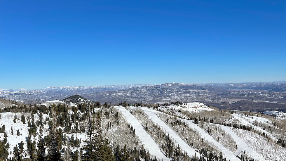 Snow-covered mountains with scattered pine trees under a clear blue sky, creating a serene, wintry landscape with distant mountain views.