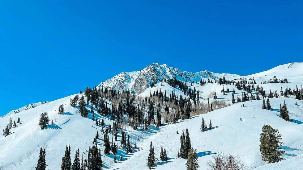 Snowy mountain landscape with pine trees under a clear blue sky. A skier is visible descending the slope, creating a peaceful winter scene.