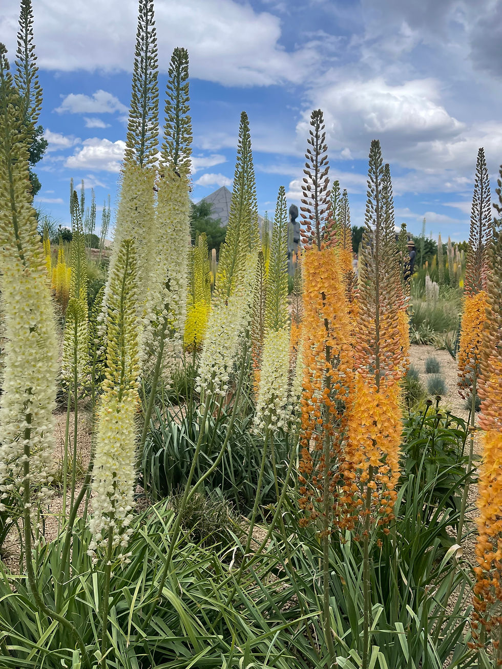 Tall orange and white flowers in a garden with green foliage under a partly cloudy sky. A pyramid structure is visible in the background.