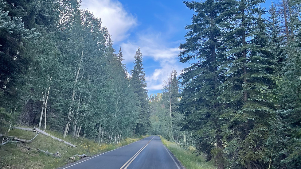 Driving down the road