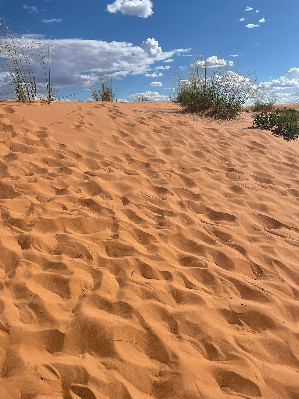 sand dune