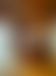 Where to Stay Near Zion: Inside the Preserve Cabin at Zion Mountain Ranch