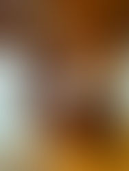 Where to Stay Near Zion: Inside the Preserve Cabin at Zion Mountain Ranch