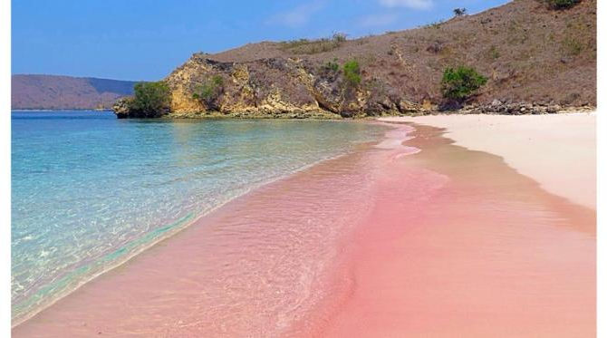 Pink Beach Explore