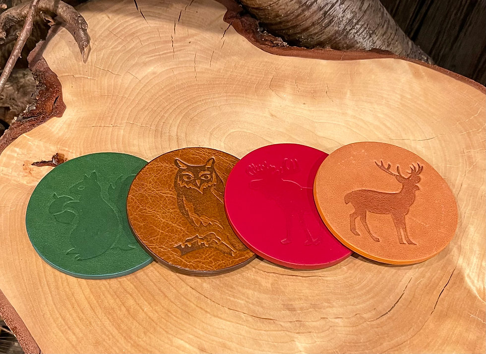 Leather and Cork Coasters Mountain and Main