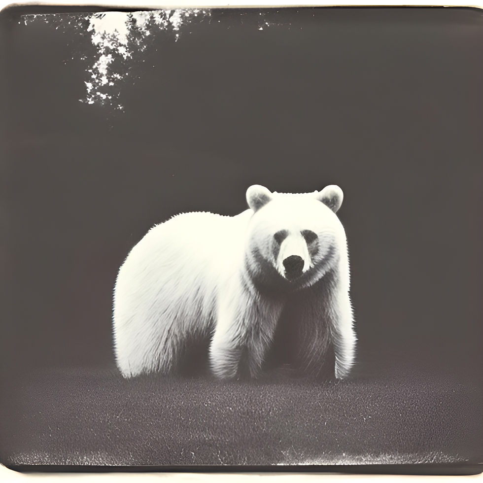 Laser_Shop_Gifts_custom_engraving_union_grove_wisconsin_custom_engraved_tumblers_nft_art_gallo_personalized_business_cards_ply_wood_stainless_steel_acrylic_cutting_bear_5