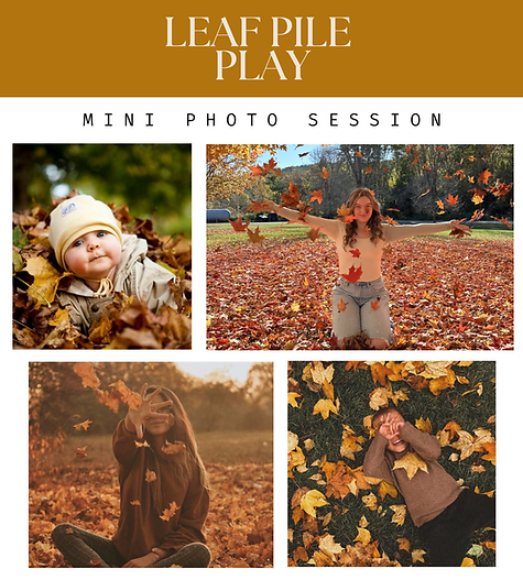 Fall - Leaf Pile Play.png