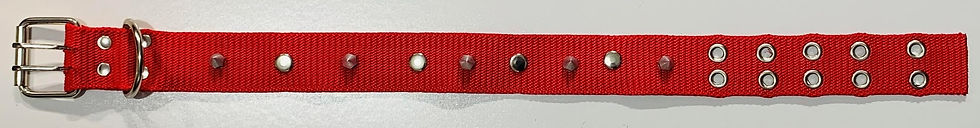 Miniatura: Collar Nylon EF