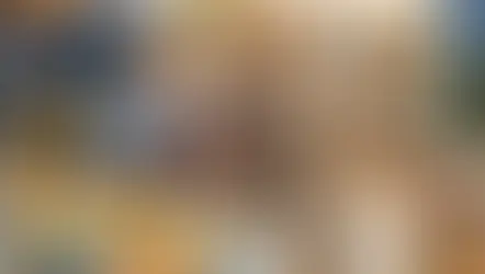 Inventario inicial organizado en una tienda de mascotas en Guatemala