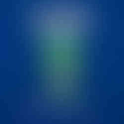 shampoo cuidado normal y antipulgas