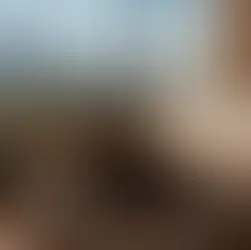 Hoteles Pet Friendly en Guatemala: dónde hospedarte sin dejar atrás a tu mejor amigo