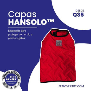 Protección y Estilo para Perros y Gatos: Capas HanSolo™ Enguatadas