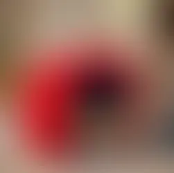 Pequeño perro asoma en una caseta roja y azul mientras una persona lo acaricia en una sala luminosa.