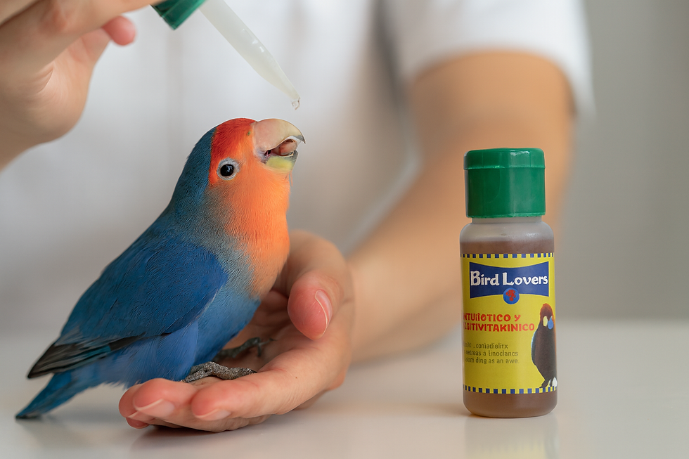 un producto garantizado Bird Lovers Antibiótico con múltiples vitaminas.