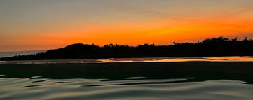 WhatsApp Image 2023-03-22 at 11.25.04 (1).jpeg