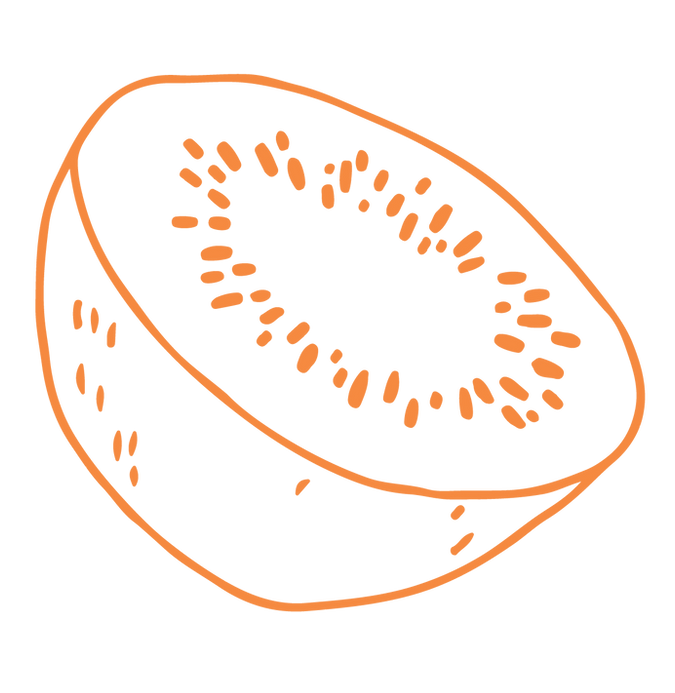 RAGI_Kiwi_2_orange.png