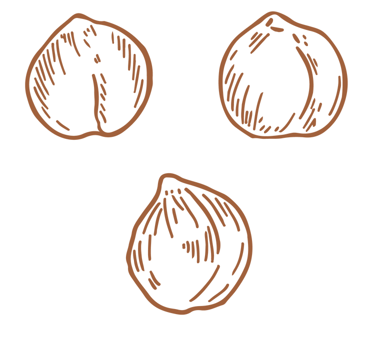 RAGI_Chikpeas_brown.png