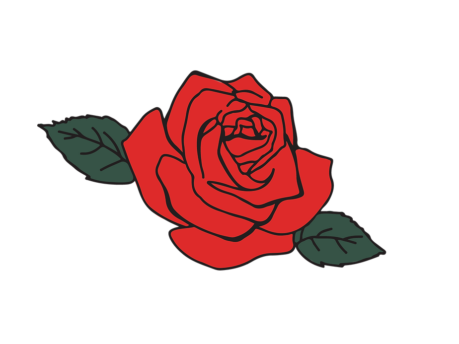 RAGI_Rose_3.png