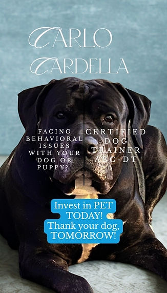 BUSINESS CARDS (15).jpg