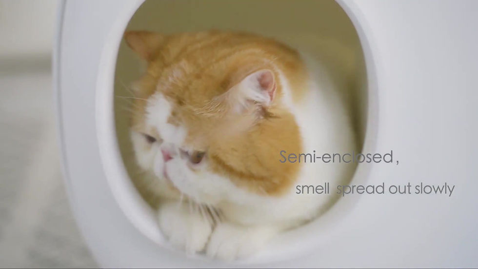 Thumbnail: []Stylish Cat Litter Box with Scoop