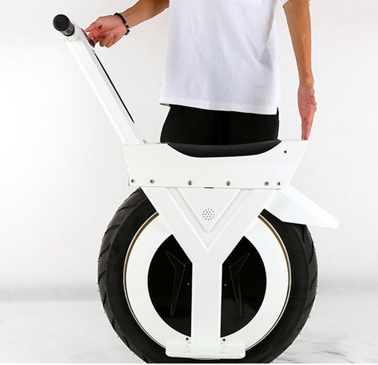 Thumbnail: Intelligent Self-Balancing Electric Monocycle