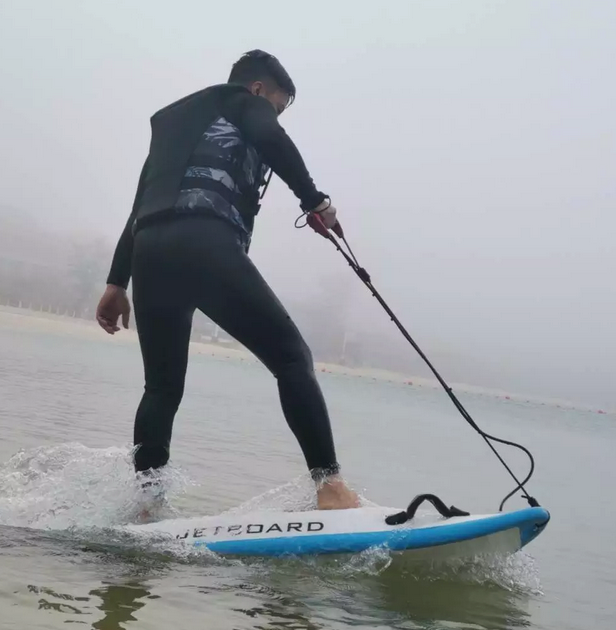 Thumbnail: HOVER ARK Electric Surfboard